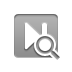 next,zoom icon