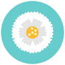 aromaм, blossom, flower, flowers, marigold, nature svg vector icon