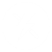 appbar,camera,flash,off,selected icon