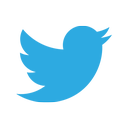 twitter icon