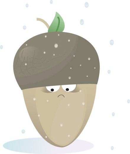 rainny icon