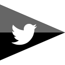 brand, company, flag, logo, media, social, twitter svg vector icon