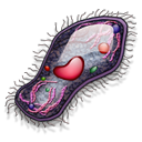 cell icon