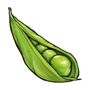 sugar,snap,fruit,vegetable,food icon