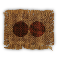 flickr icon