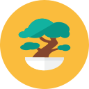 bonsai svg vector icon