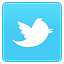 twitter icon