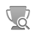 trophy,zoom icon
