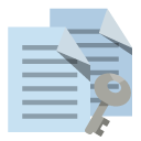 copy,key icon