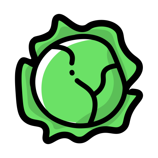 Cabbage svg vector icon