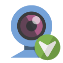 webcam,down icon