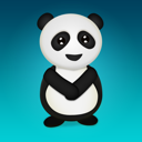 animal, bear, panda icon