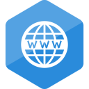 colored, hexagon, high quality, social, social media, website, www svg vector icon