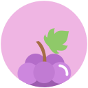 food, grapes, nutrition svg vector icon