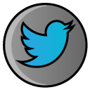 bird, hayal, media, social, social media, twitter icon