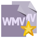 file,format,wmv,star icon