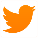 twitter icon