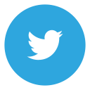 social, twitter svg vector icon