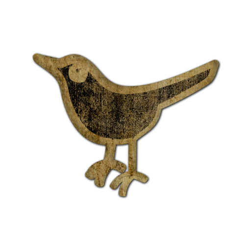 twitter,bird,animal,social network,social,sn icon
