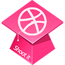 dribbble icon