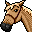 argo icon