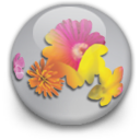 illustratorcs,orb icon