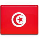 tunisia,flag,country icon