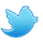 twitter icon