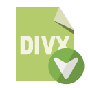 file,format,divx,down icon