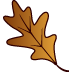 oakleaf icon
