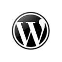 099378, wordpress icon