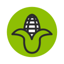 corn, ecology, fruit, green, vegetable svg vector icon