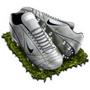 009 icon