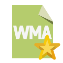 file,format,wma,star icon
