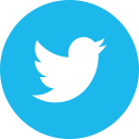 circle, twitter svg vector icon
