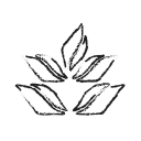 leaf, leafmaple, maple, maple leaf, organic svg vector icon