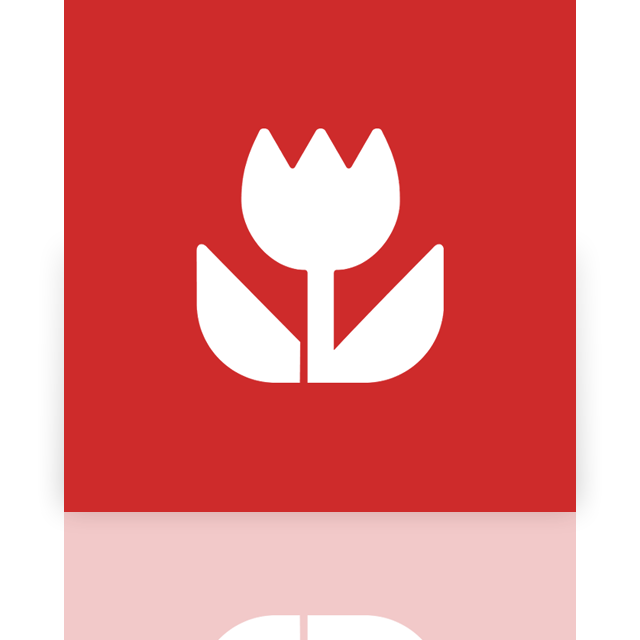 picture,mobile,mirror icon