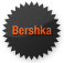 bershka icon