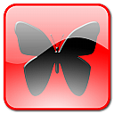 msn icon