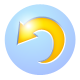 undo icon