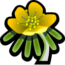 winter,aconite icon