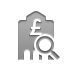 bank,pound,zoom icon