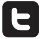 175, plastique, social icon