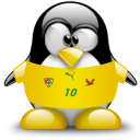 togo,penguin,animal icon