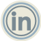 linkedin icon