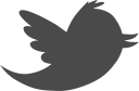 bird, media, social, tweet, twitter svg vector icon
