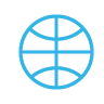 network,world icon
