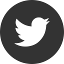 media, online, social, twitter svg vector icon