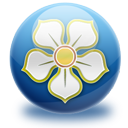 magnolia icon