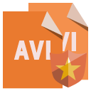 file,format,avi,shield icon